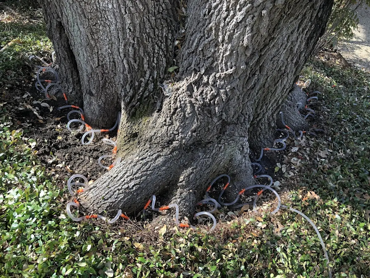 Detailed Shrub and Hedge Trimming job site in Leverett